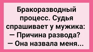 Как Мужик Разводился! Сборник Свежих Смешных Жизненных Анекдотов!