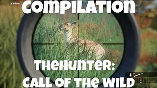 TheHunter: Call of the Wild Beta - Kill Compilation