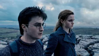 Harry Potter And The Deathly Hallows Pt. 1「Hold The Light」Music Video