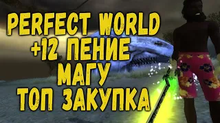 PERFECT WORLD | +12 ПЕНИЕ МАГУ | ТРАТИМ БАБКИ