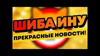 ВЛОЖИШЬ 1000$ ДОЛЛАРОВ В ШИБА   ПРОСНЕШЬСЯ МИЛЛИОНЕРОМ! Новости криптовалюта SHIBA INU   ШИБА