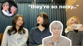 kpop idols (almost) losing their patience because of seventeen being loud