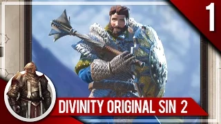 CHOOSE YOUR DIVINITY! - Divinity: Original Sin II Let's Play 1
