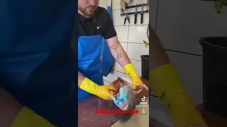 Nikofish - parrot fish (fish cleaning)