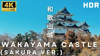 🌸Wakayama Castle during Cherry Blossom Season | 4K HDR