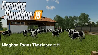 Buying Cows, Feeding Them And Cutting Grass | Ninghan Farms #21 | FS19 Timelapse