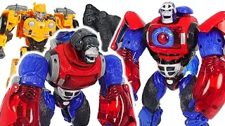 Transformers gorilla Optimus Primal! Defeat dinosaur, Decepticon with Bumblebee! #DuDuPopTOY