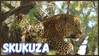 Skukuza Rest Camp | Kruger National Park