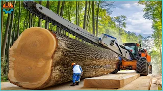 45 Dangerous Fastest Big Tree Removal Bulldozers in Action You've Got To See!