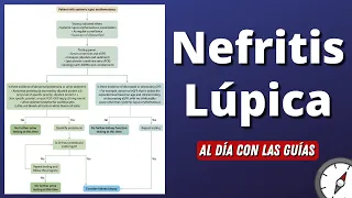 Nefritis Lúpica | KDIGO 2024 #AlDíaConLasGuías