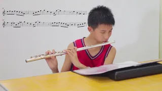 Plants vs Zombies Theme Flute and Score Version