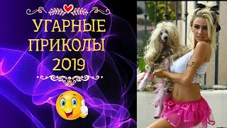 Чудики из соцсетей, Приколы 2019, лютые приколы