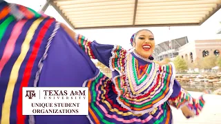 Unique Student Organizations at Texas A&M | The College Tour