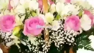 Поздравляю с праздником весны - 8 марта 💐💐💐💐💐💐