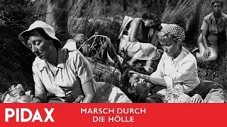 Pidax - Marsch durch die Hölle (1956, Jack Lee)