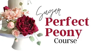 Sugar Peony Flower Tutorial // Full Course Preview! // With Finespun Cakes
