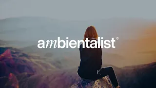 The Ambientalist - Missing You