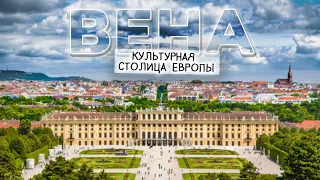 VIENNA: the delight of the European Capital of Culture