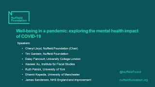 Well-being in a pandemic: exploring the mental health impact of COVID-19