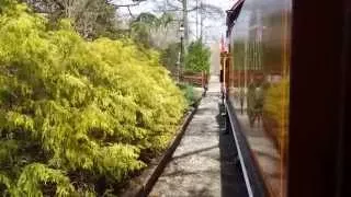 The train at Busch Gardens Williamsburg