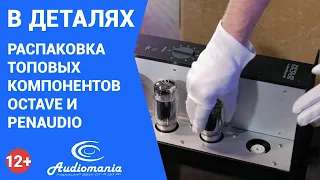 Распаковка и сборка системы из топовых компонентов Octave и Penaudio