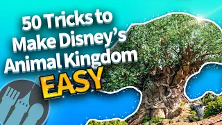 50 Easy Tricks That Make Disney's Animal Kingdom So Much Better