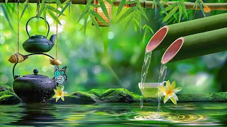 Beautiful Piano Music, Water Sounds - Bamboo, Relaxing Music, Meditation Music, Nature Sounds, Water