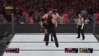 Undertaker vs Albert and Big show