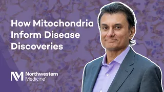 How Mitochondria Inform Disease Discoveries with Navdeep Chandel, PhD