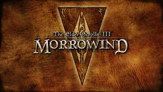 The Elder Scrolls III: Morrowind - #55 Святилище Малаката и Высший Демон