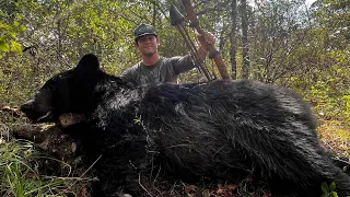 Historic Harvest, Huge Oklahoma Black Bear with Homemade Bow and Arrow