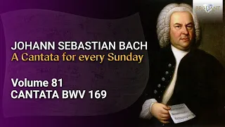 J.S. Bach: Gott soll allein mein Herze haben, BWV 169 - The Church Cantatas, Vol. 81