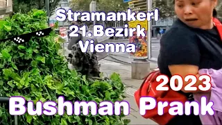 Bushman Prank - Vienna (Stramankerl 2023) - Best Reaction Wien 21. Bezirk - Floridsdorf