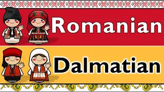 ROMANCE: ROMANIAN & DALMATIAN