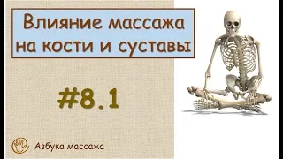 Влияние массажа на кости и на суставы | Урок 8, часть 1 | Уроки массажа