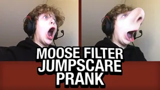 Moose Filter JUMPSCARE PRANK on Omegle!