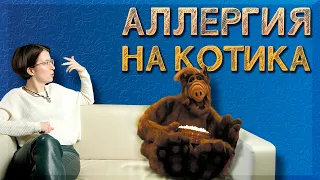 Аллергия на КОШЕК | Всё, что нужно знать про аллергию на котов