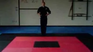 Ninjutsu Basic Moves