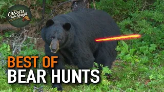 50 Bear Hunts in 15 Minutes! (ULTIMATE Bear Hunting Compilation) | BEST OF