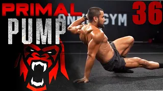 Primal Pump 36 | BodyWeight Circuits | Workout at Home!