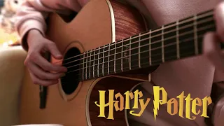 Harry in Winter Fingerstyle Guitar Cover