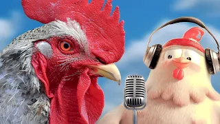 funny dancing rooster with the funniest chicken song 2023 / the funniest chicken dance