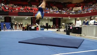 Wayzata Gymnastics Wins State Title