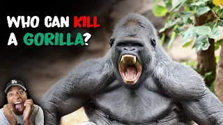 6 Animals That Could Defeat A Gorilla... YOU WON'T BELIEVE THIS!!