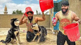 5 LAKH KY SIBERIAN HUSKY 🐕 KO NEHLA DYA 🙈❤️ | SYED FAHAD | THE FUN FIN |