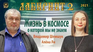 НУМЕРОЛОГИЯ | ЛАБИРИНТ-2 | Жизнь в космосе, о которой мы не знаем | Владимир Шемшук