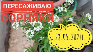 И дома и на даче/День покоса#огород#влог#село#дача#сибирь#жизнь#я#работа