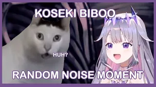 Random Biboo Noise Compilation