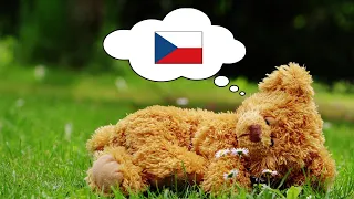 Learn Czech While You Sleep - 1000 Important Czech Words & Phrases