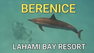 Berenice  Lahami Bay Resort